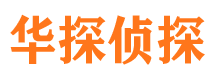 湘东市侦探公司